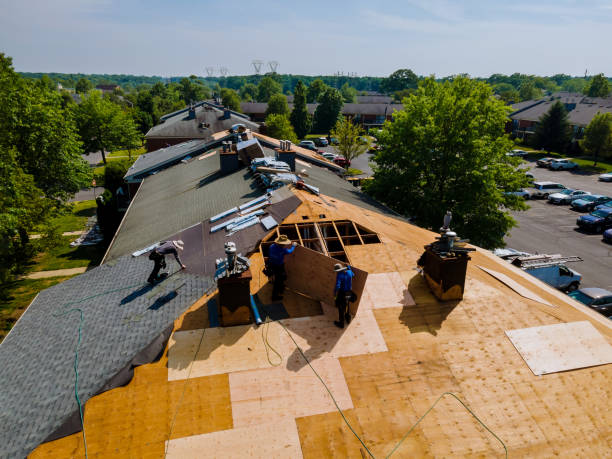 Best Roof Gutter Cleaning  in Vaiden, MS