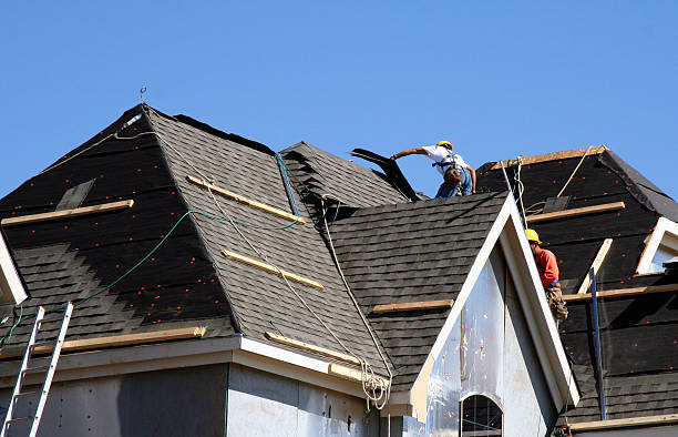 Best Local Roofing Companies  in Vaiden, MS