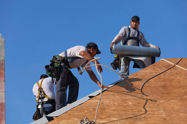 Best Metal Roofing Contractor  in Vaiden, MS