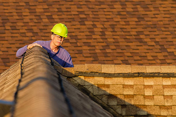 Best Roof Maintenance Services  in Vaiden, MS