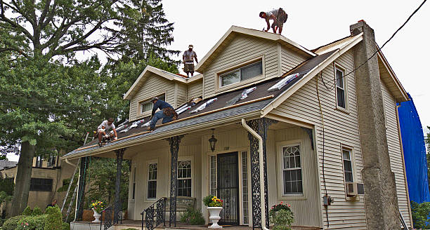 Roof Gutter Cleaning in Vaiden, MS