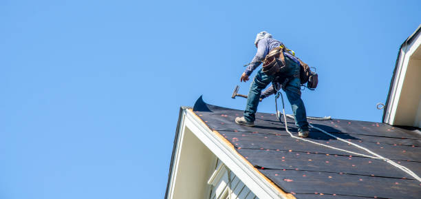 Best Best Roofing Contractors  in Vaiden, MS